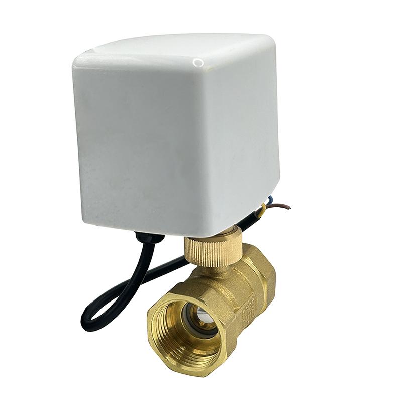 1/2" 3/4" 1" 1-1/4" 2" Motorisierter Kugelhahn 12V 24V 220V 3-Draht 2-Steuerung Elektrische Kugelhähne Wasserhahn