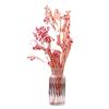 Striped Glass Vase for Dried Flowers - Stylish Table Decoration & Home Ornament