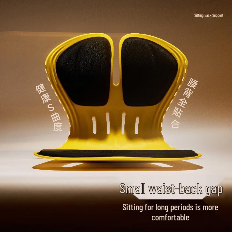 ZuoDian Posture Correcting Lumbar Support Cushion