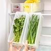 Foldable Plastic Refrigerator Storage Box With Handle Scallion Fresh Box Food Preservation Box Egg Noodles Storage Container