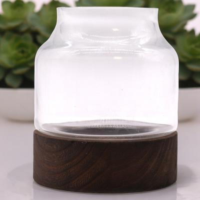 Podłoże do terrarium na ciemnym drewnie tungowym