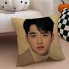 South Korea EXOK Idol DDoh Kyungsoo DO Cushion Cover Throw Pillow Cover Hidden Button Durable Polyester Chair Cushion