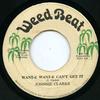 7inch Record JOHNNY CLARKE  Wante Wante Cant Get It WB036 Weed Beat 1977 Jamaica Reggae Ska  Dub Used
