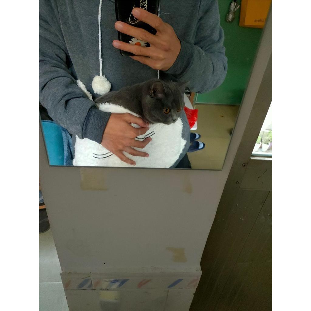 Damenmode Stickerei Kleidung Haustier Große Tasche Katze Ohr Kapuzenpullover