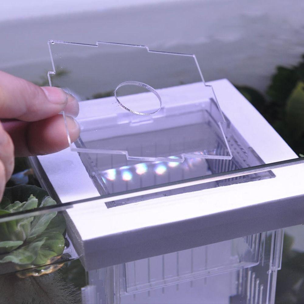 Acrylic Fish Isolation Box Detachable Fish Breeding Tank Floating Hatching Box  for Aquarium