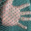 Polyethylene Fishing & Bird Netting for Fish Cage, Chicken Coop, and Partitioning