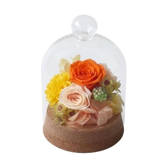 Preserved Flower Petit Dome Preserved Flower Handmade Material Dried Flower Present Celebration Anniversary Birthday Arrangement Flower Gift Never