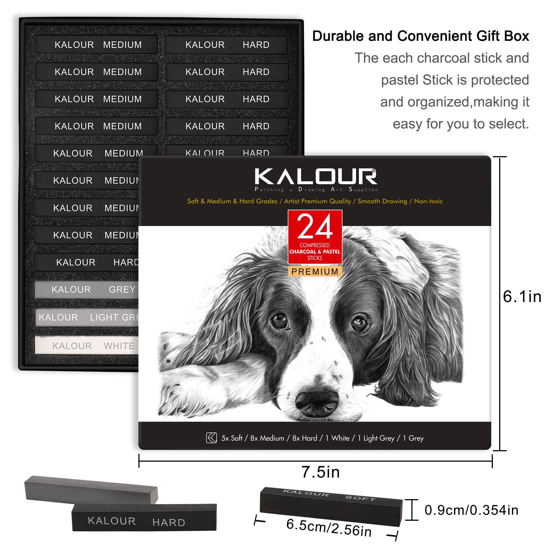 KALOUR 24-Piece Charcoal Drawing & Sketching Set