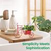 Cycle Shaped Metal Plant Stand for Indoor & Outdoor Use, Decorative Planter Pot for Flowers & Ornaments,