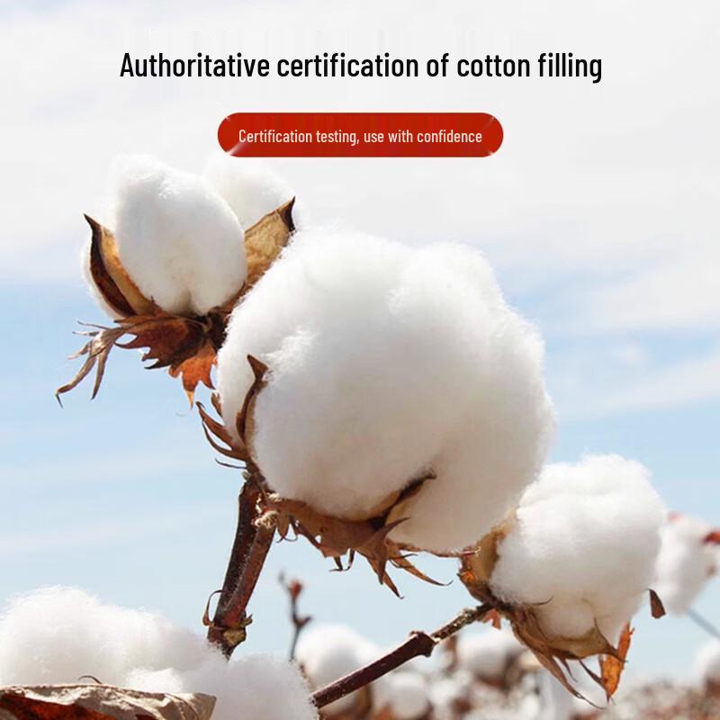 Yuan Zhi Wei Xinjiang Cotton Quilt and Mattress Pad