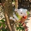 Climbing Rabbit Figurine Resin Cute Rabbit Statue Hanging Decoration Garden Tree Climber for Balcony Flower Pots Planters Indoor Outdoor Use