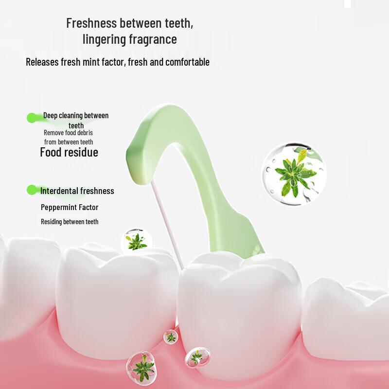 Dr. Tooth Refreshing Mint Dental Floss Picks
