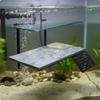 Wall Mounted Turtle Platform Waterproof Amphibian Basking Long-Lasting