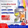 Japanese Lumbar Pain Relief Patches