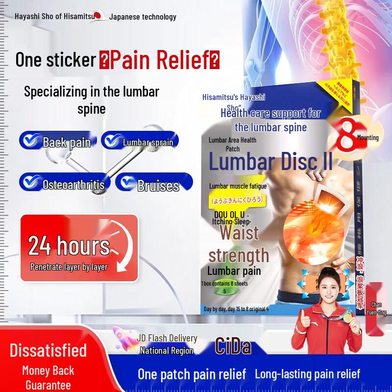 Japanese Lumbar Pain Relief Patches