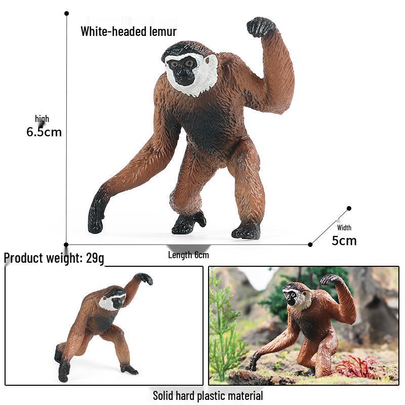 Realistic Animal Heart Model Toy: Lemur, Raccoon, Orangutan, Baboon