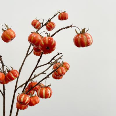 Künstliche Blume 10 Kleine Kürbisfrüchte Echte und Gefälschte Kürbisfrüchte Heimdekoration Hochzeitssimulation Beeren Kunstblumen Künstliche Blume