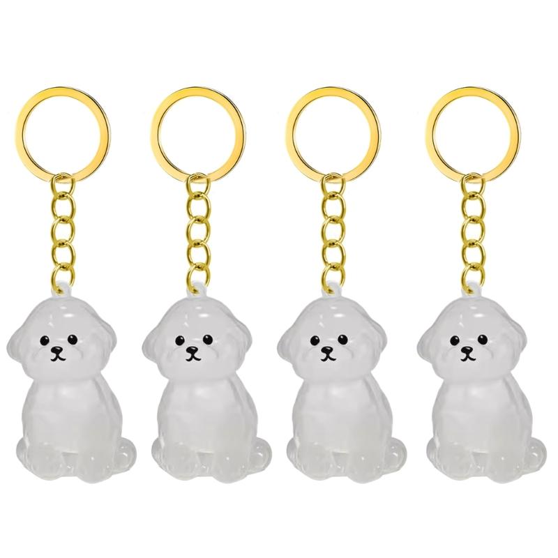 2/3/4/5/10 Pezzi Portachiavi Memoriale per Animali Domestici Con Raccoglitore Peli Trasparente Regalo Perfetto Per Proprietari di Gatti e Cani in Lutto Portachiavi Ricordo