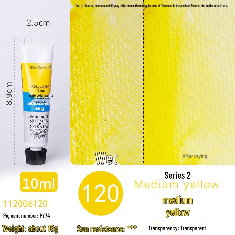Winsor & Newton Professional Watercolor Set for Artists & Beginners