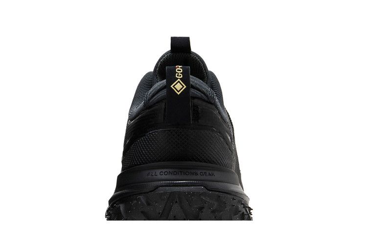 Nike ACG Mountain Fly 2 Low Dark Smoke Grey