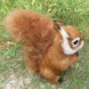 Künstliches Eichhörnchen Simulations Tiere Modell Garten und Haus Dekor
