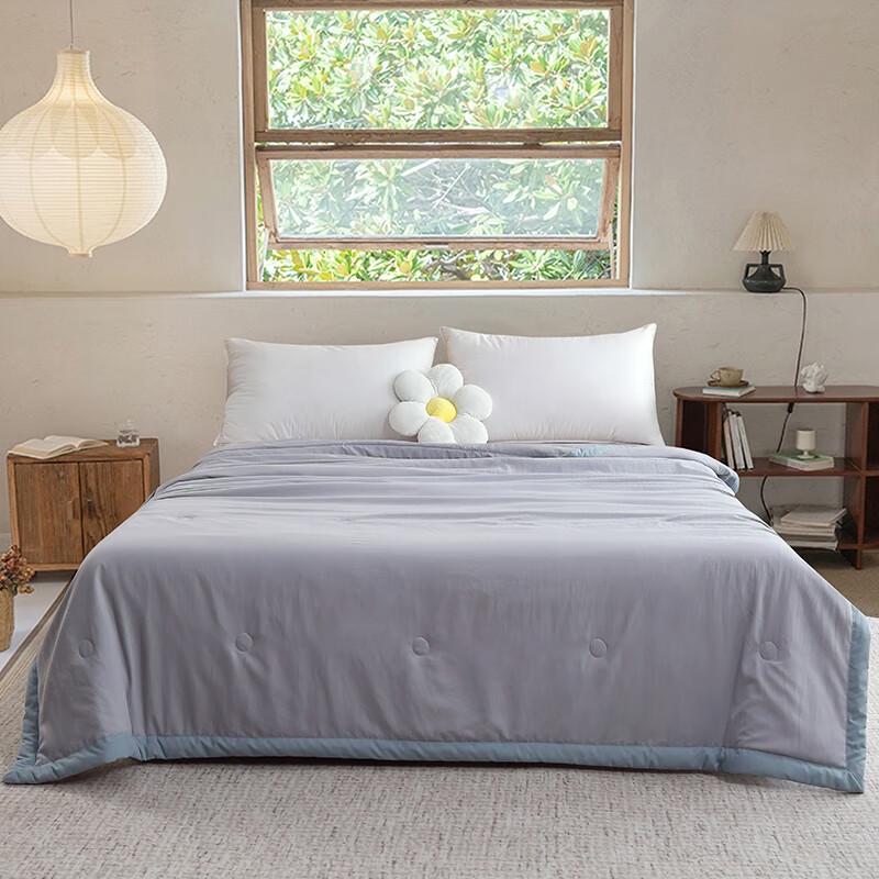 Arctic Velvet Summer Washable Quilt