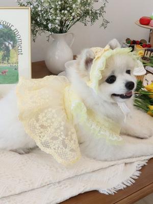 Haneul Mung Mung Tinker Bell Lace Bonnet