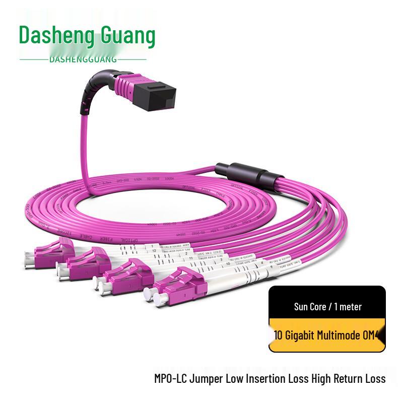 

Dasheng Light MPO-LC Fiber Optic Patch Cable 1 Meter