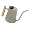 Watering Can with Long Spout 1L Stainless Steel Indoor Plant Watering Can with Wood Handle for Home Garden Flower Gray