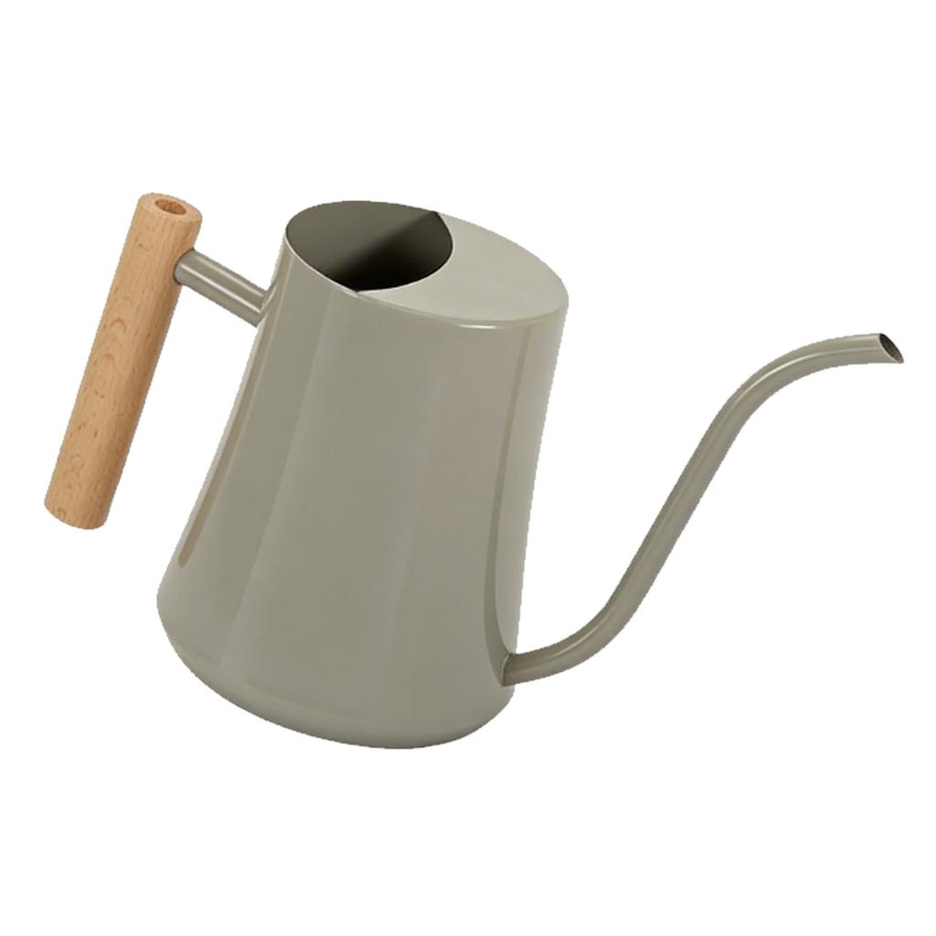 Watering Can with Long Spout 1L Stainless Steel Indoor Plant Watering Can with Wood Handle for Home Garden Flower Gray