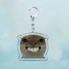 Beliebte Niedliche Katze Lustige Schlüsselanhänger für Zubehör Tasche Haustier Katzenliebhaber Meme Miau Schlüsselanhänger Ring Schmuck Fans Geschenke Schlüsselanhänger