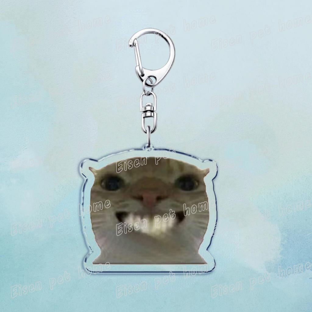 Beliebte Niedliche Katze Lustige Schlüsselanhänger für Zubehör Tasche Haustier Katzenliebhaber Meme Miau Schlüsselanhänger Ring Schmuck Fans Geschenke Schlüsselanhänger