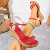 Women's Wedge Sandals, New Spring Style, Plus Size, Fashionable One-strap Platform High Heels, European and American Style.