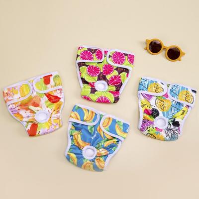 Washable Dog Menstrual Pants - Female Physiological Urine Protection