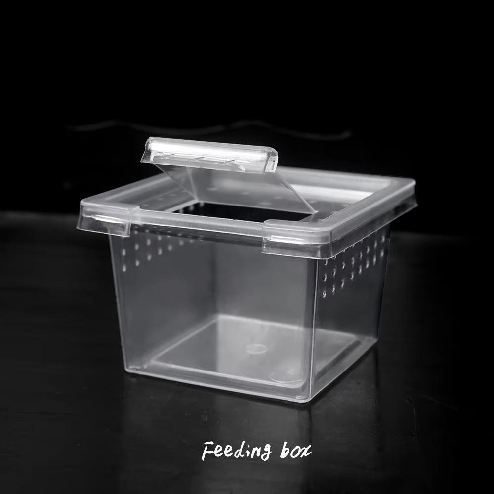 Clear Plastic Reptile Living Box Food Feeding Insect Rearing Reptile Habitat Anti-Escape Arboreal Tarantula Enclosure