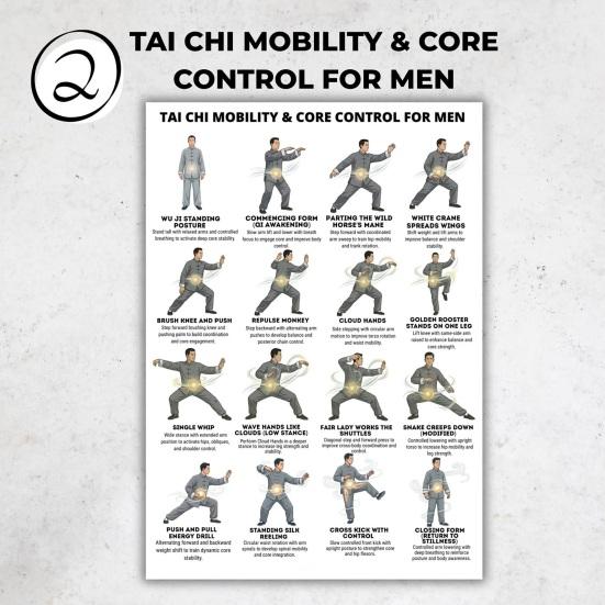 3Pcs Men Tai Chi Training Plan Guide for Posture Correction And Pain Relief Core Strength Flexibility Muscle Endurance Poster No Impact Exercise for