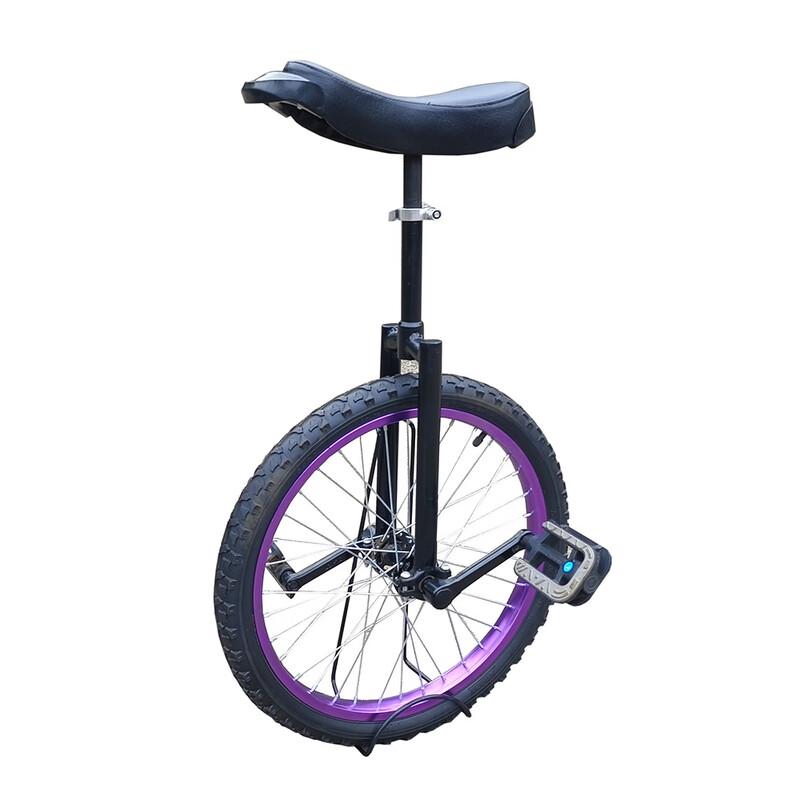 Lishi Fitness Unicycle 24 Inch