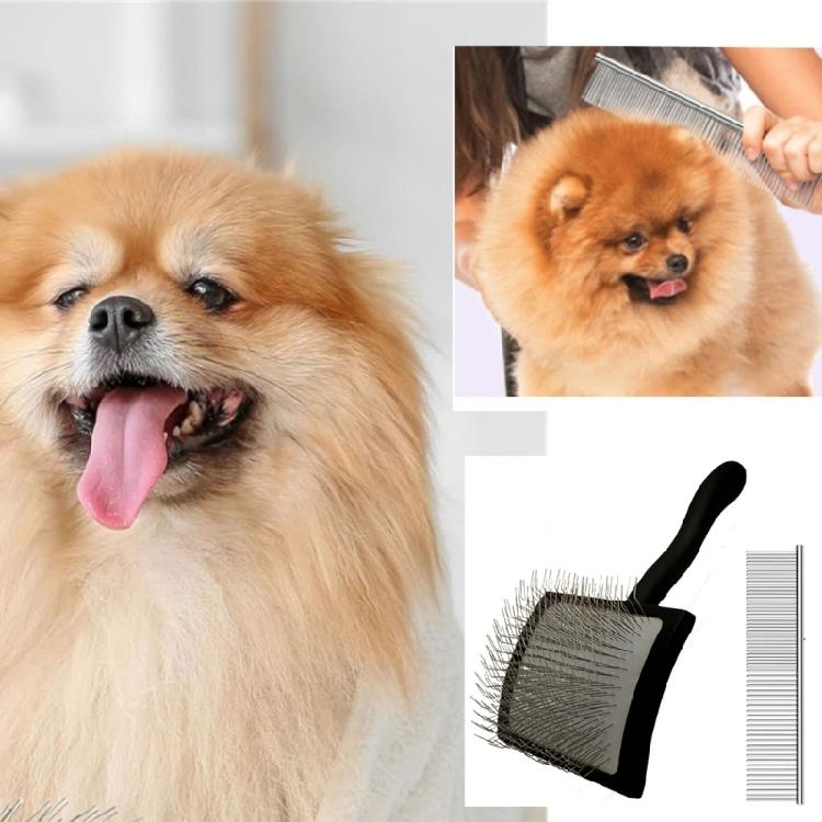 Hunde Entfilzungskamm Friseurbürste Werkzeug Hunde Rechenbürste zum Massieren