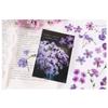 40Pcs Flower Decals Easily Peel Off Durable Waterproof PET Multi Purpose PET Plants Stickers for Scrapbook DIY Craft