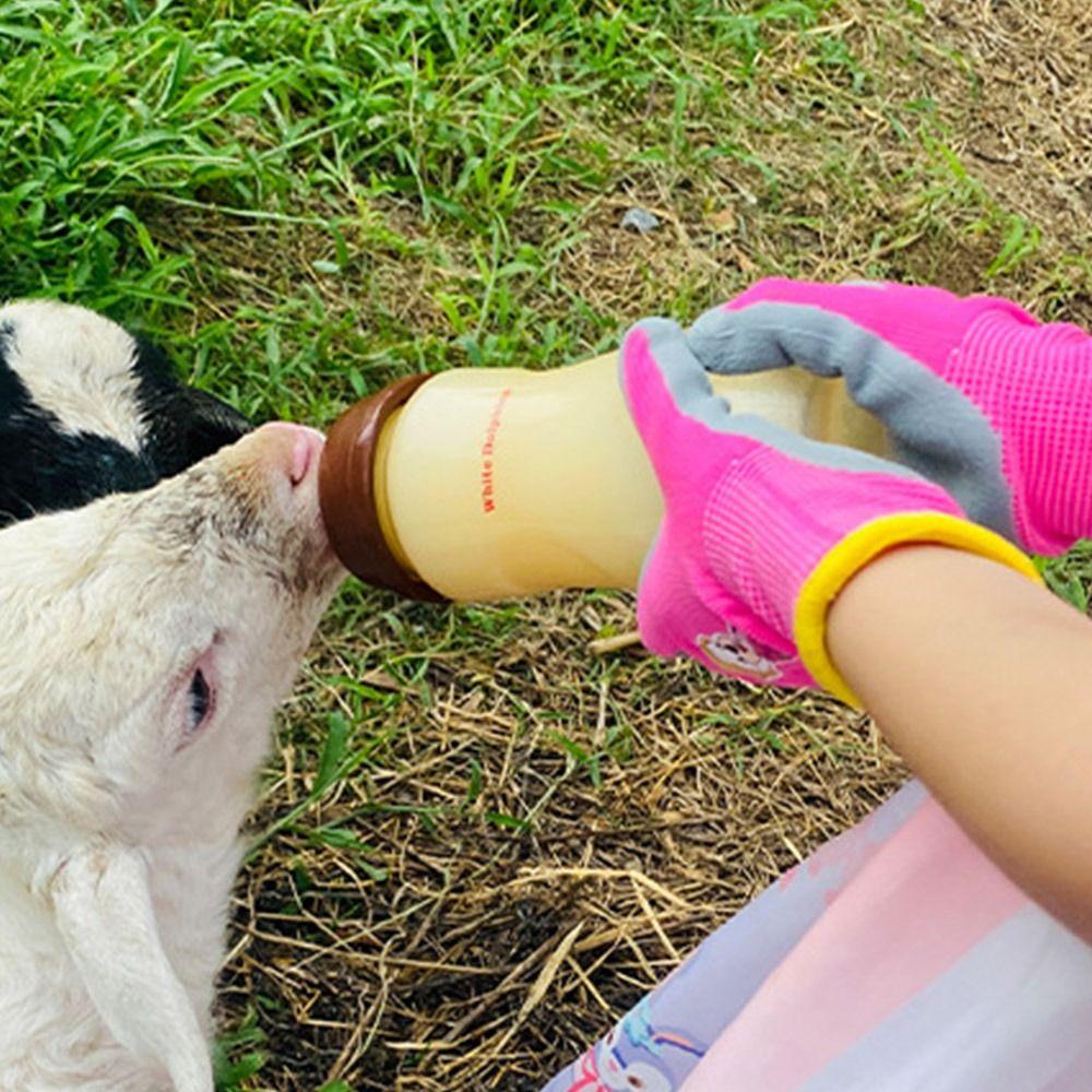 Waterproof Children Protective Glove Non-Slip Garden Glove Cartoon Work Gloves  Planting