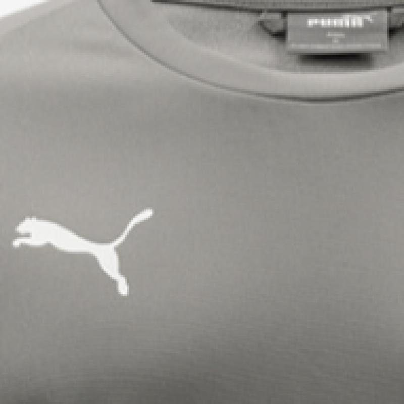 Puma Tréninková mikina Team Goal s dlouhým rukávem a kulatým potiskem