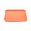 ZISIZ Rectangular Plastic Serving Tray
