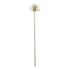 Hill Interiors Agapanthus Artificial Flower Spray