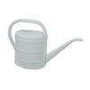 2L Watering Can, Easy to Use, Modern And Ergonomic, with Handle, Ideal for Home, Office Indoor