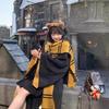 US Edition Double-Layer Striped Harry Potter Four Houses Oversized Winter Scarf - In Stock