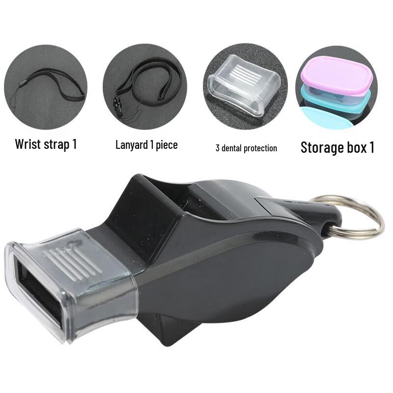 Outdoor Dolphin Whistle