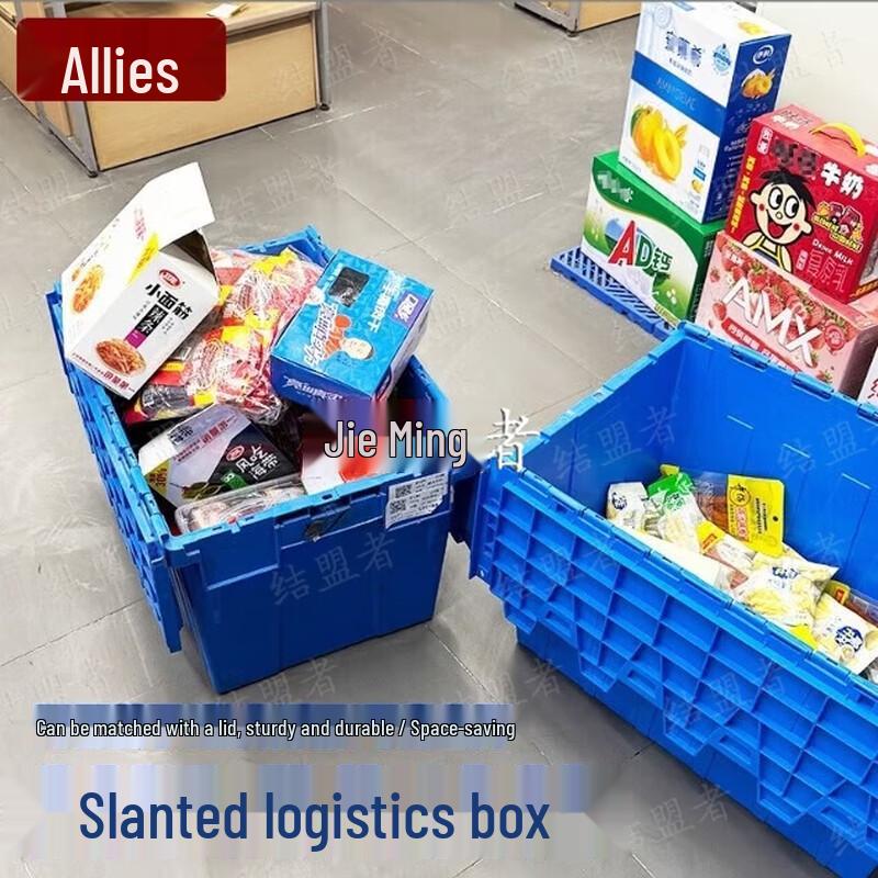 Ally Thickened Rectangular Plastic Turnover Storage Box
