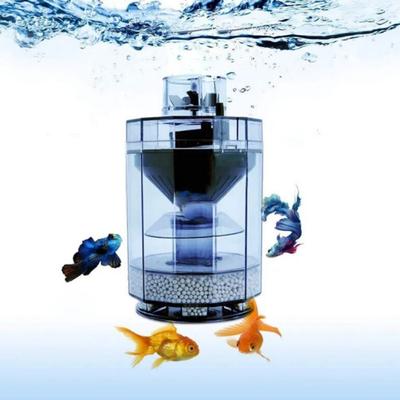 Ryby a morské živočíchy – Údržba akvária