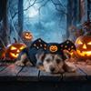Breathable Pumpkin Devil Horn Pet Hat Adjustable Halloween Funny Cat Hat Costume Dress Up