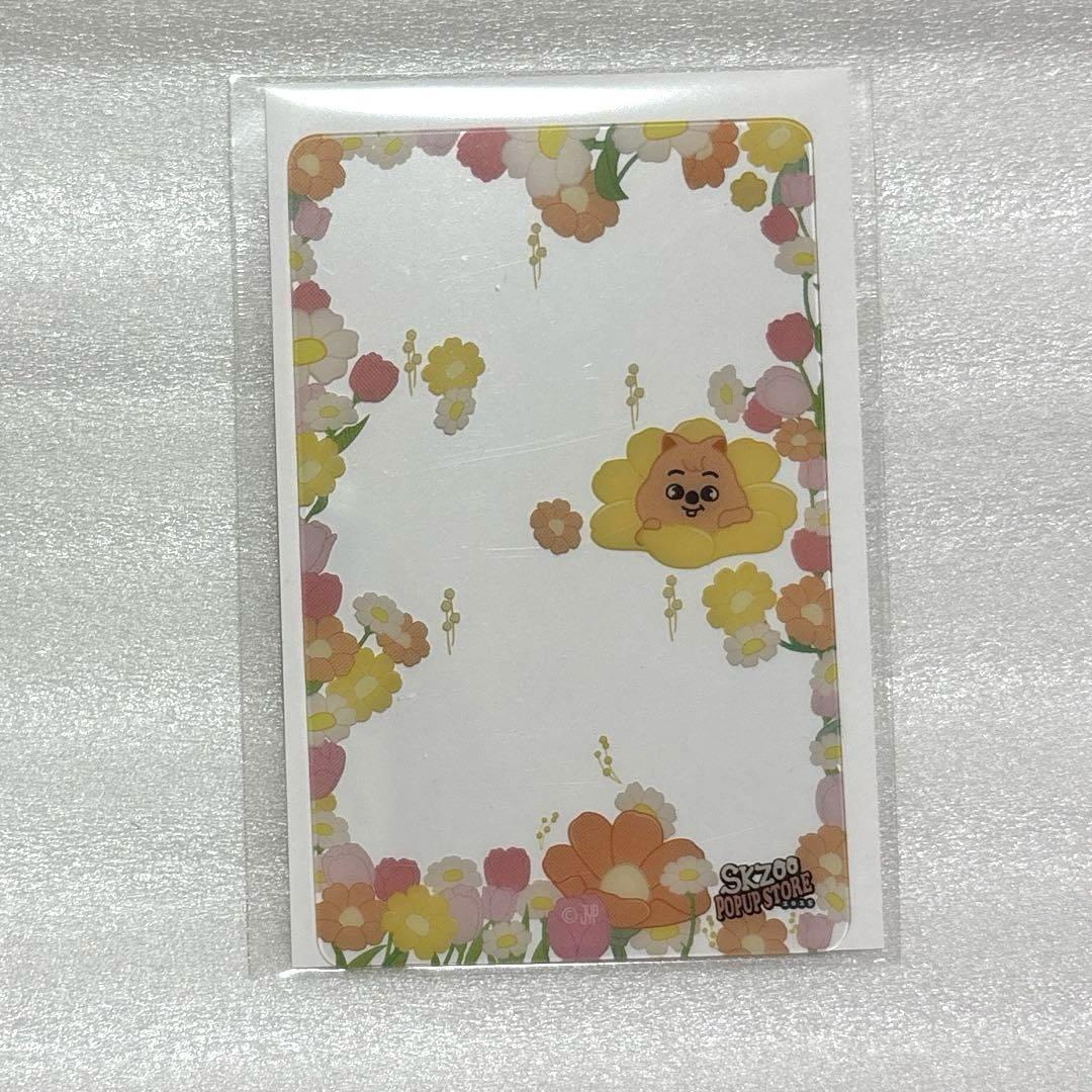 

[USED] StrayKids SKZOO Pop-up Bonus Clear Card Hank Okka